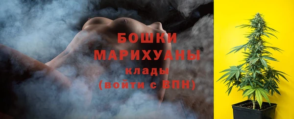 дурь Осташков