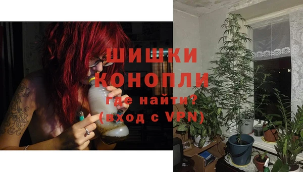 дурь Осташков