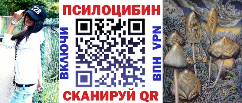 купить наркотики сайты  Тула  Псилоцибиновые грибы мицелий 
